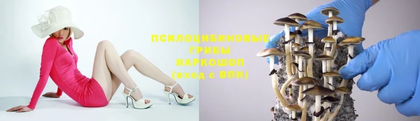 мяу мяу мука Белокуриха