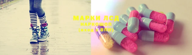 мяу мяу мука Белокуриха