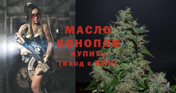 стаф Сясьстрой