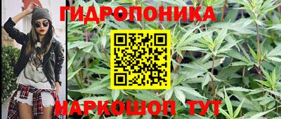 шишки Донецк