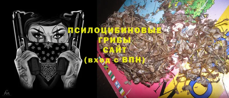 omg ссылки  Бутурлиновка  Псилоцибиновые грибы Psilocybe 