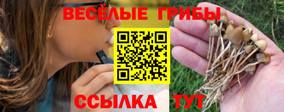 Псилоцибиновые грибы мицелий Бутурлиновка